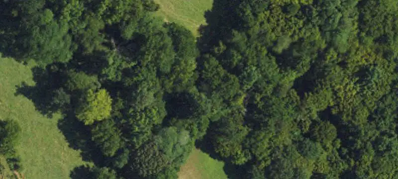 Lots/Land