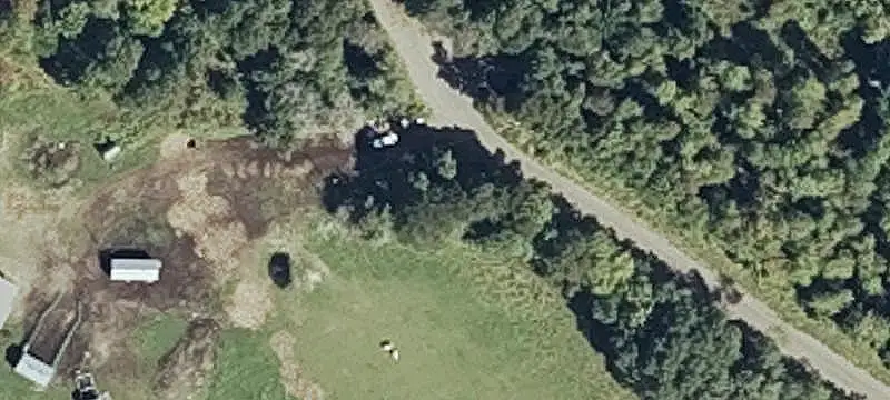 Wooded Hunting Land with Cabin
