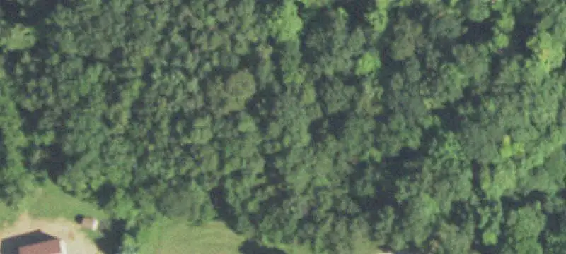 Lots & Acreage / Rural