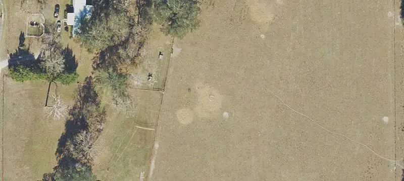 Improved Slash Pine Farmland
