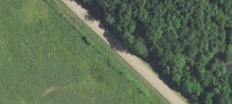 Farm with Mature Timber