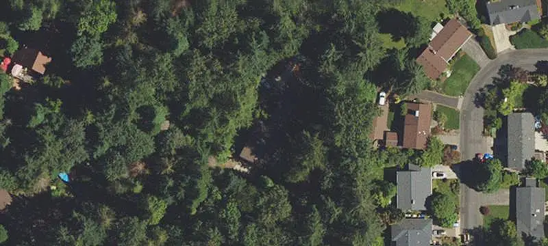 Short-Term Rental Property with Treehouses