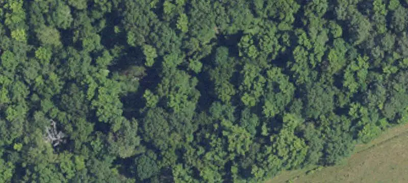Agricultural Land with Timber