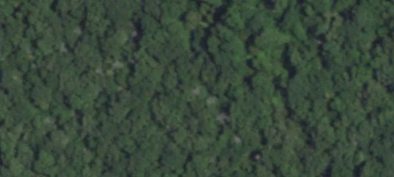 Lots & Acreage / Unimproved Land