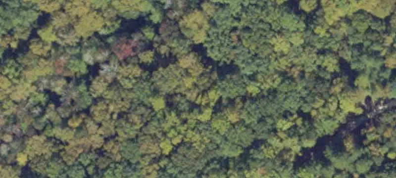 Timbered Commercial Land