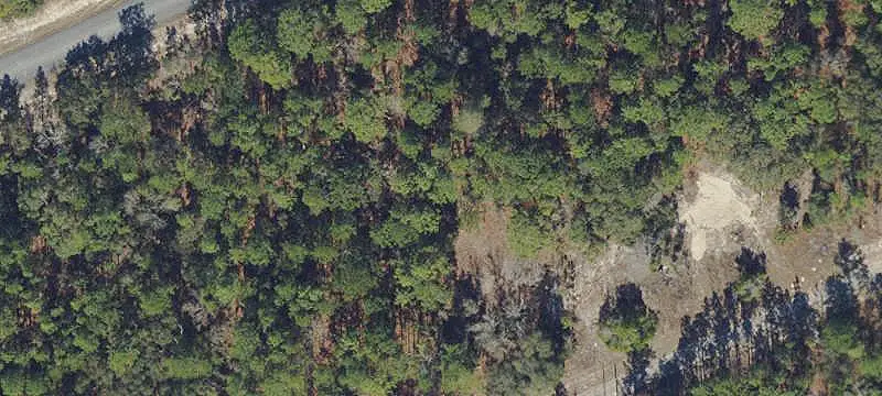 Commercial Land Near Established Businesses