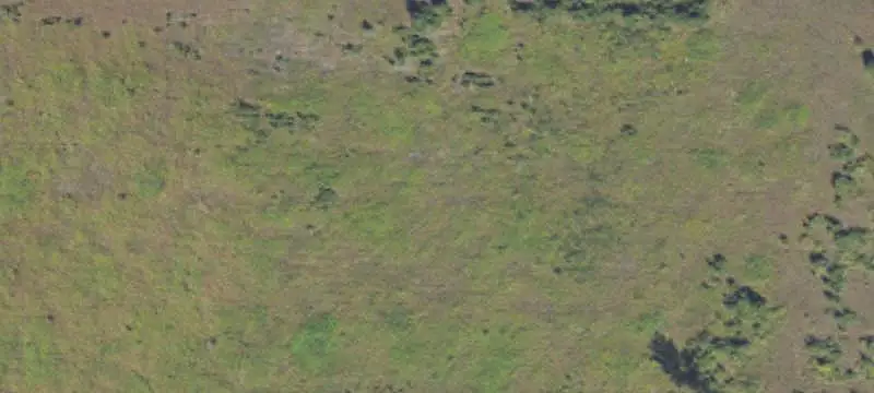 Rolling Terrain Hunting Land