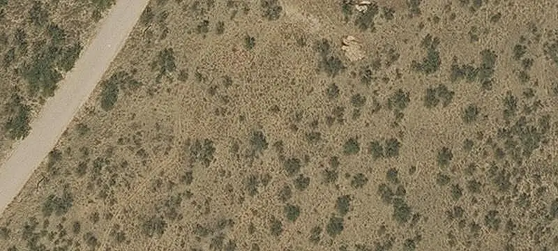 Land/Lot