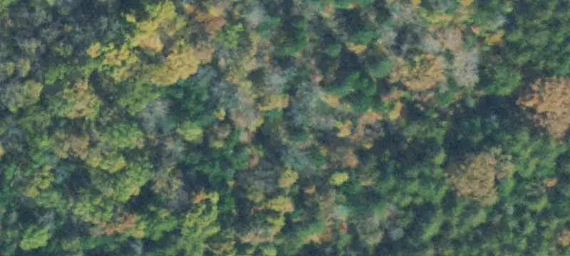 Pasture and Hardwood Farmland