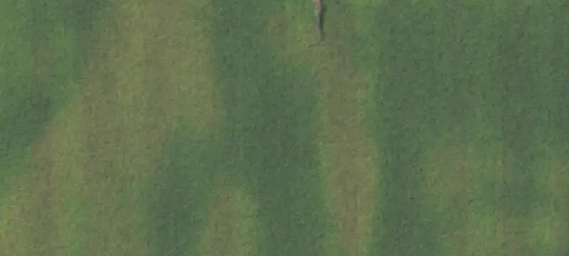 Interstate-Adjacent Commercial Land
