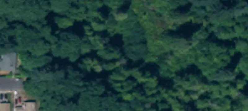 Forested Land with Flat Area