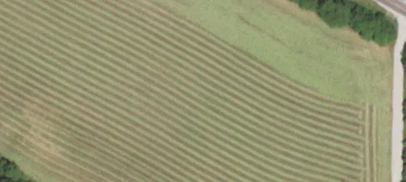 Land