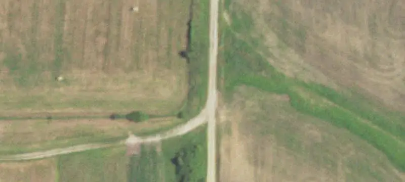 Diversified Farm with Game Bird Improvements