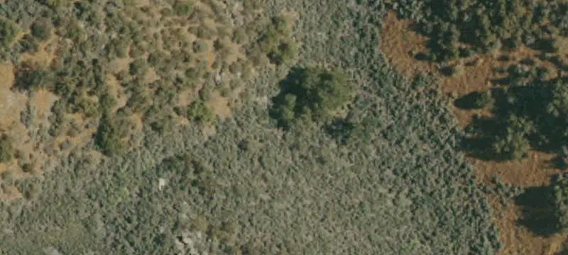 Lot/Land