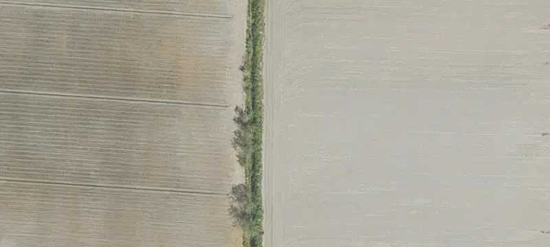 Cleared Agricultural Land