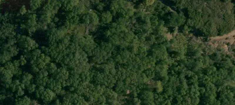 Remote Agricultural Land with Meadow