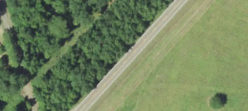 Timbered Agricultural Land