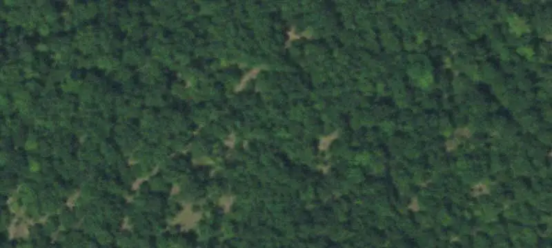 Unimproved Land