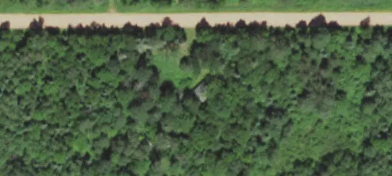 Wooded Hunting Land
