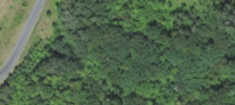 Lots/Land
