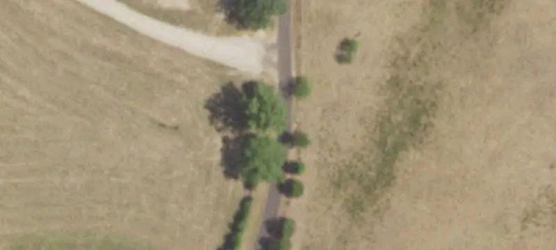 Working Cattle Ranch with Ponds