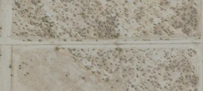 Vacant Solar Land