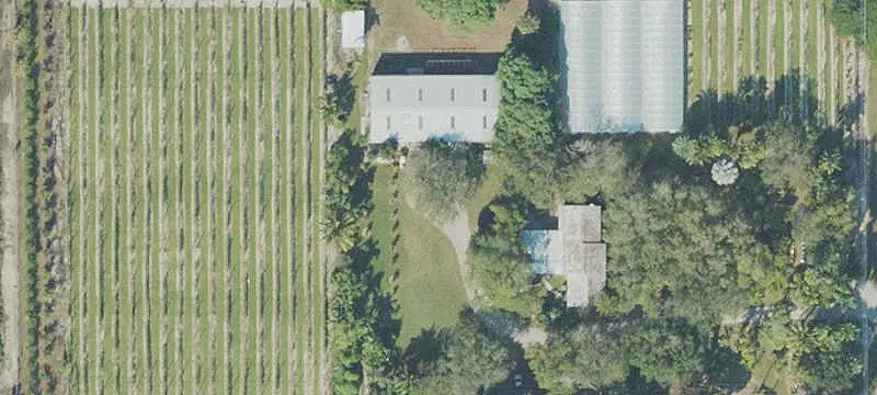 Fenced Avocado Farm