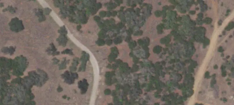 Ranch Property with Cabin