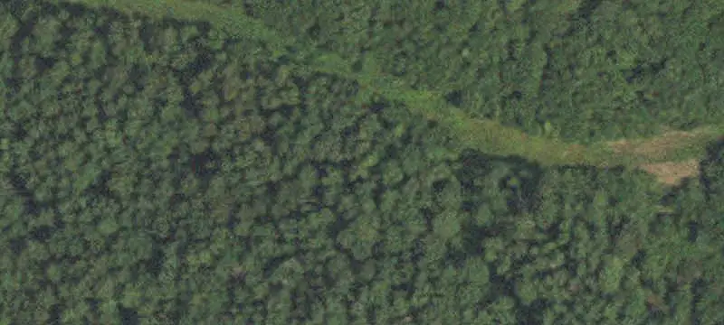 Hunting Land with Camp Shack