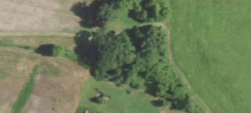Whitetail Hunting Land