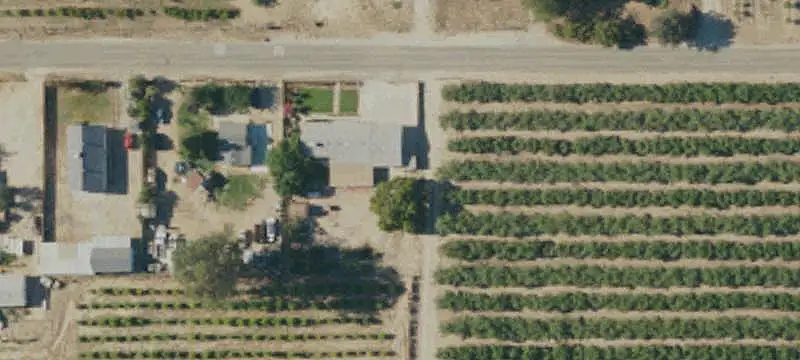 Almond Orchard Farm