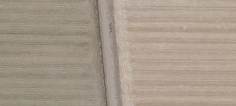 Pistachio Farm With Farmstead