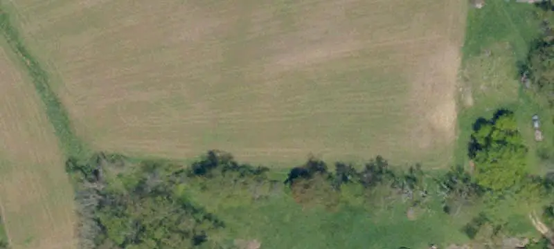 Farm-Acreage-Lot / Res Land (5 Acres or More)