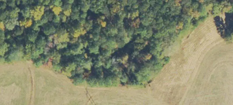 Unimproved Land