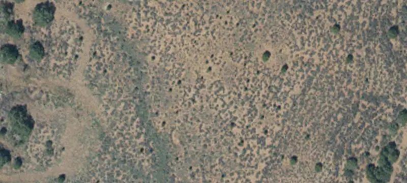 Land