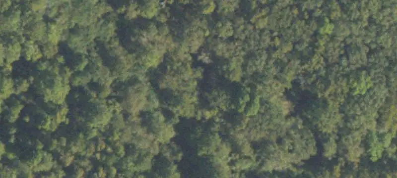 Lots/Land