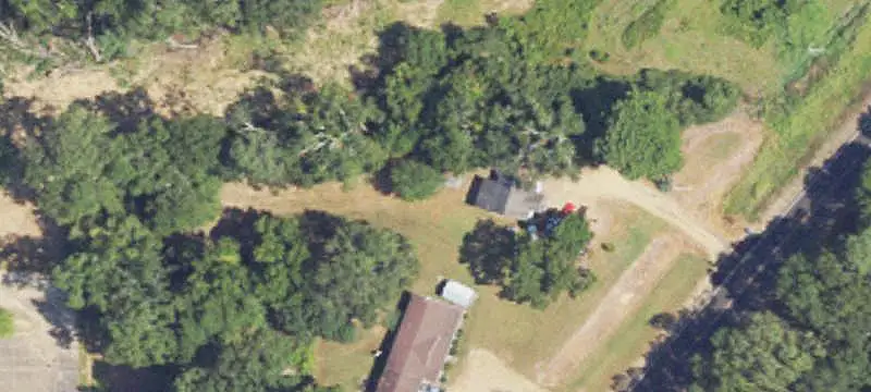 Pecan Orchard Agricultural Land