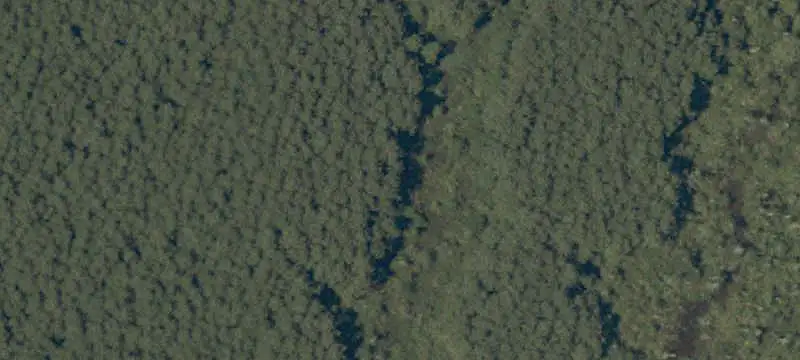 Wooded Land Parcel