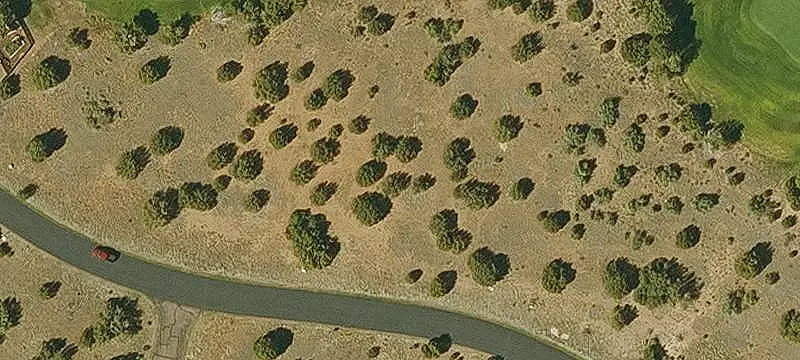 Waterfront Land with Lake Access