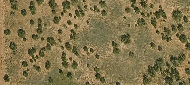 Treed Agricultural Land