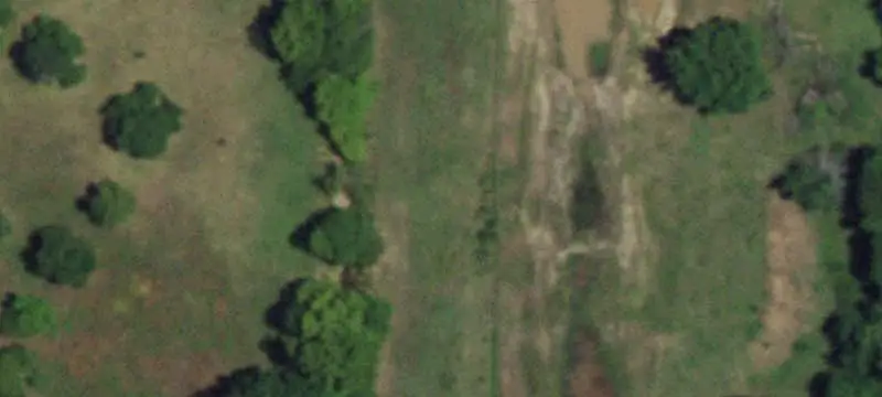 Wooded Hunting Land