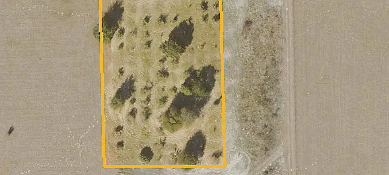 Hunting Land with Conservation Boundary