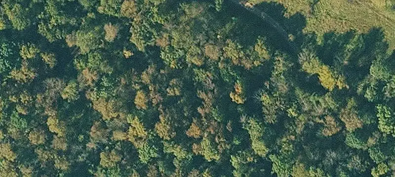 Rural Land Along Booth Creek Road