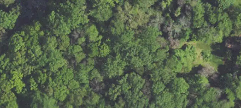 Land Near University