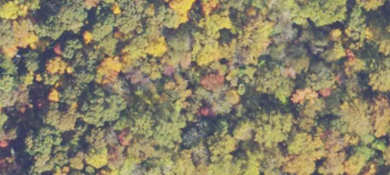 Land or Vacant Lot