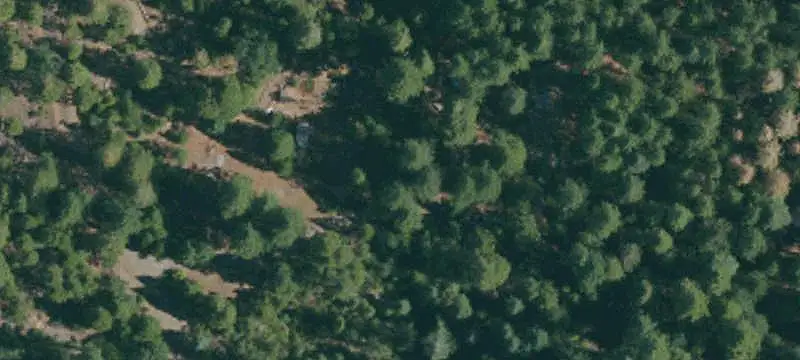 Wooded Mountain Land