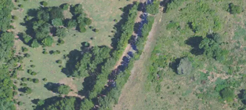 Land with Logging Road