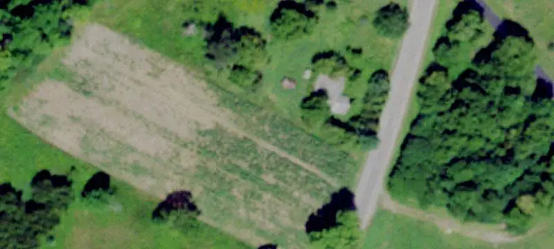 Wooded Hunting Land