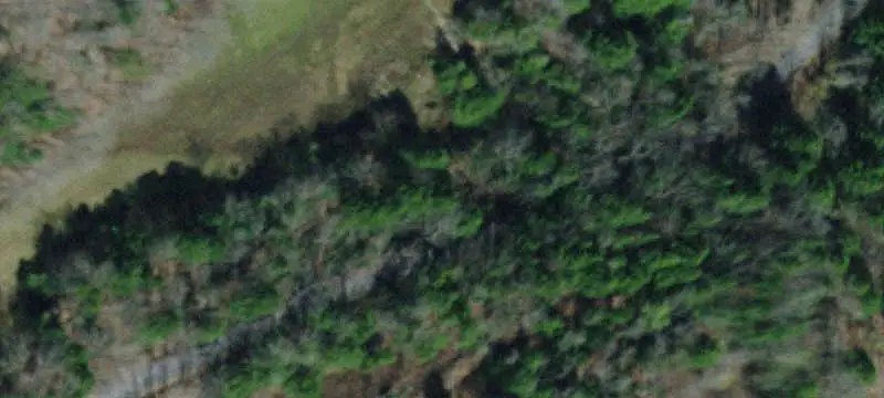 Wooded Hunting Land With Creek