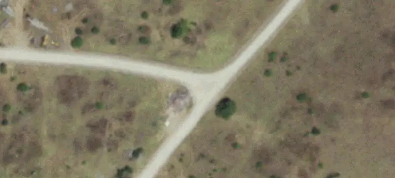 Tree-Lined Agricultural Land